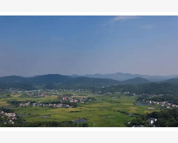 B2B促销活动实战操作全流程